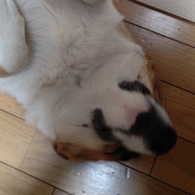 @Syllty @RIP_Azler @ZyAGRquly @Hzyer_
 
 　　　　　　　　ギターと邦ロとゲーム　　　
普段は本性隠して社会人です。