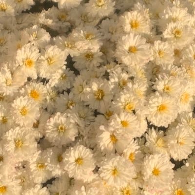 KatieLayman37's profile picture. 