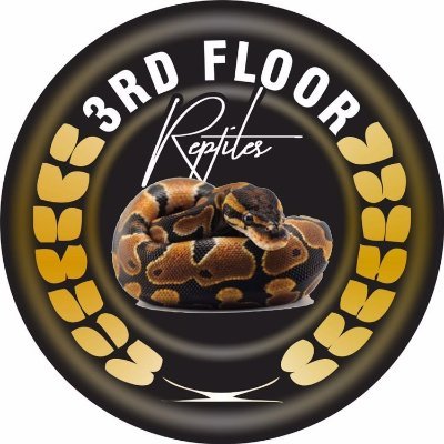 I am a reptile breeder from Austria.
I love keeping and breeding these wonderfull creatures, especially ball pythons and corn snakes.
