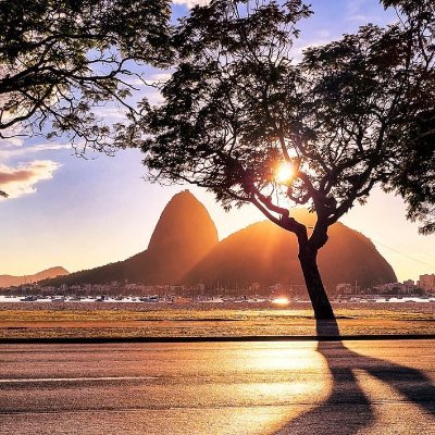 🇧🇷 - Tijucano
🇬🇧🇪🇸   

Administrador de Empresas + Especialista em Finanças

¹ aberto ao bom debate 
² sem dar engajamento 
³ não dou palco para otário