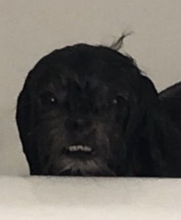 TheGerold06's profile picture. Hi, bye.