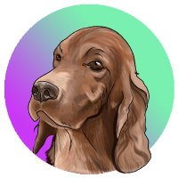 irish setter (@irishsettersol) 's Twitter Profile Photo irish setter (@irishsettersol) 's Twitter Profile Photo