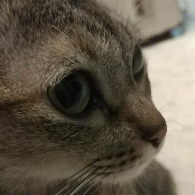 VinhThinhLe2011's profile picture. 