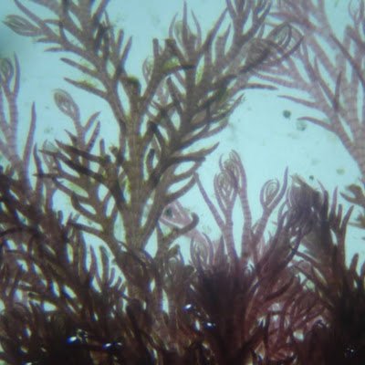 davakeC34832953's profile picture. 🔬