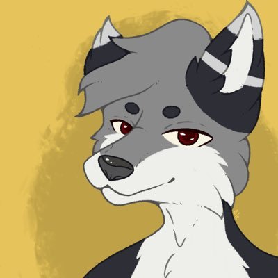 Nikoさんのプロフィール画像