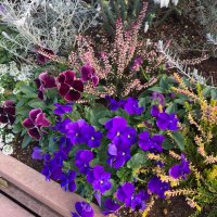 グリーン (@moomintiger7) 's Twitter Profile Photo