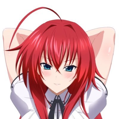 Rias Gremory /Parody/さんのプロフィール画像