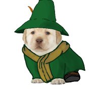 Snufkin Perrito(@GermanGondola) 's Twitter Profile Photo