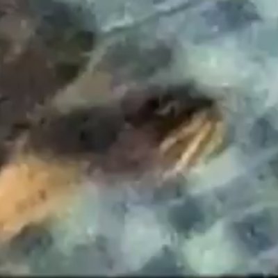 turtless24さんのプロフィール画像
