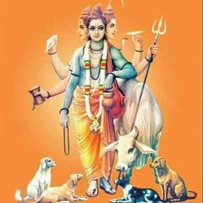 AgasheKedar's profile picture. 12849