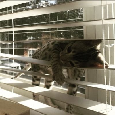 Lookingfor_9's profile picture. 어떤 이유로든 환불 및 반품은 불가합니다.