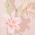 Bunga Lily (@bungalily190) Twitter profile photo Bunga Lily (@bungalily190) Twitter profile photo