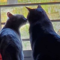 K(ケー) (@k316431887) 's Twitter Profile Photo K(ケー) (@k316431887) 's Twitter Profile Photo