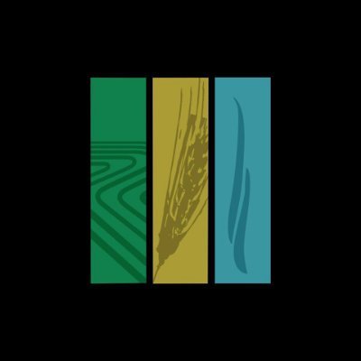 siembraagrouy's profile picture. 