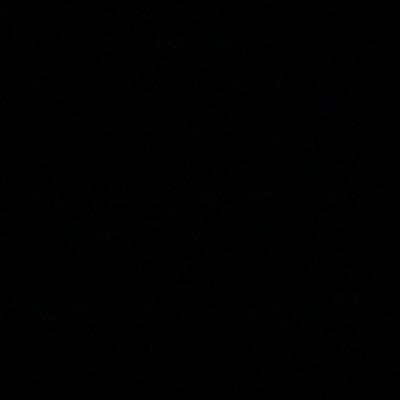 SadafSalehi's profile picture. 