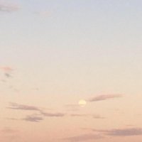 fatoumata (@fatfemme) 's Twitter Profile Photo