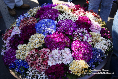 qhfvps2266's profile picture. 