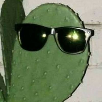 ÉL/ÉL/ÉL QUEEE ES LO QUE HACE ELLA POR ÉL