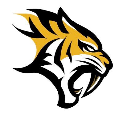 NIKTO_MX's profile picture. 