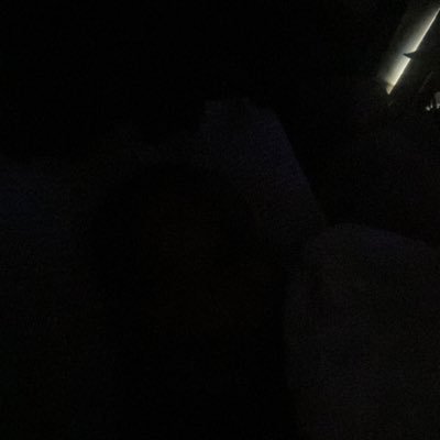 Marcus Williams 🦁