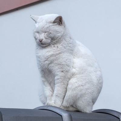 KAZU?さんのプロフィール画像
