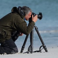 Nick Hurst 🇺🇦 (@bearprintsphoto) 's Twitter Profile