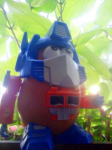 alonnir's profile picture. GIF connoisseur. Here for the swag.