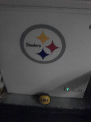 steelerfan