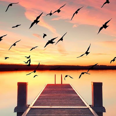 m9MtPDnygFfiygx's profile picture. サバゲー始めました。 まったりやってきます。