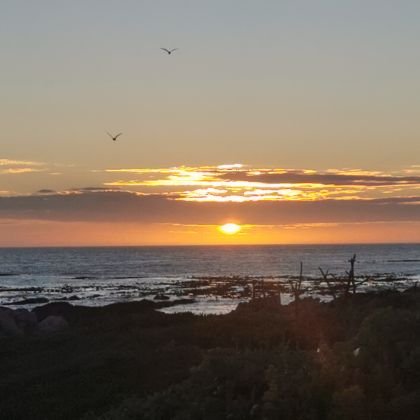 Johanve19493014's profile picture. #shotleft Travel with passion, Love my SA