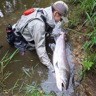 🎣日本最北端発、世界最小ルアーメーカーとしてBASEショップでルアー、アパレル等を販売しています🐟主に川でイトウやアメマス。6～11月は道北エリアにてイトウ・アメマスのガイドもしています。お問合せ・依頼はDMでお願い致します🙇日本ウグイ協会サポート会員🐟