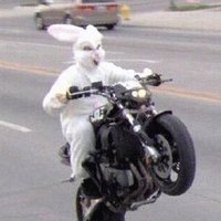 🏍️ (@hrmyk_) 's Twitter Profile Photo