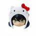 Sunr (@sunr512) Twitter profile photo Sunr (@sunr512) Twitter profile photo