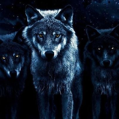 1Ist_34's profile picture. Bir şans