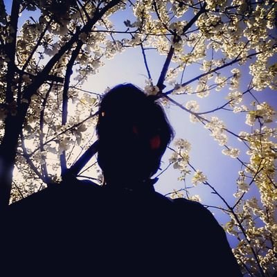 DonnieDo 🦉さんのプロフィール画像