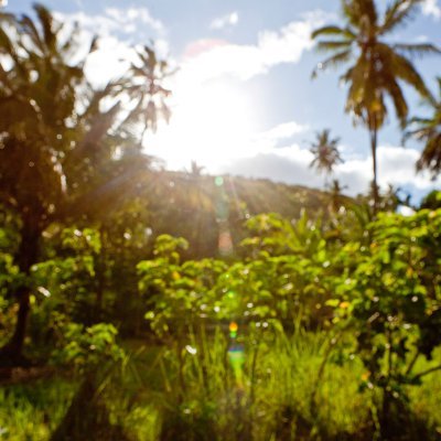 Xxaaiiddeerr's profile picture. 