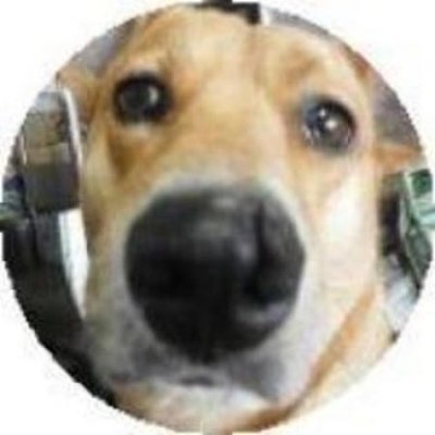 6GatvlHdeJ8TmGl's profile picture. 幸せを感じる季節・・・・