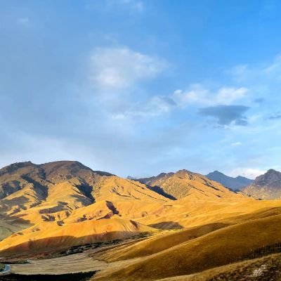 Thiago_1125's profile picture. iOS Developer