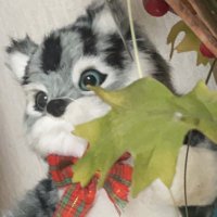 ikumi (@jkn9tp) 's Twitter Profile