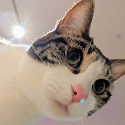 yayful_fit's profile picture. Fulfillment optimizer