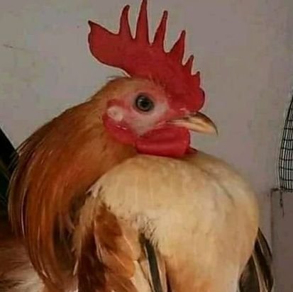 *MAISHA HAYANA FORMULA LAKINI YANA SIRI NYINGI,,! CHUKUA HIZI 11, KAMA ZITAKUFAA*
*1. .SIRI YA KWANZA*
Tengeneza connection na watu usitengeneze urafiki, Iko