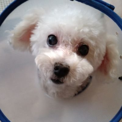 明日は、どっちだ!
情報が正しいかどうかは分からない、取り敢えず、自分がしっくり行くものだけを集めてみよう。
無言のフォローをお許し下さい。
宝物を見つけた気持ちで、フォローしてしまいます。
貴重な情報、ありがとうございます。