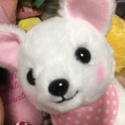好歌エマさんのプロフィール画像
