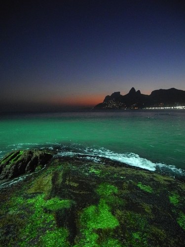 antonio_yoo's profile picture. music producer,composer,violinist