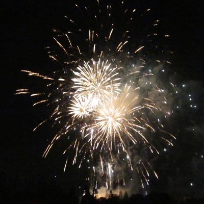 takoyakikogasu's profile picture. たこ焼き焦がすのが得意