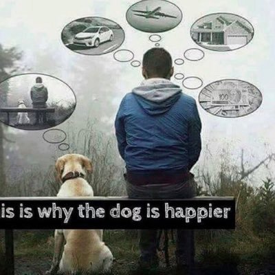 real_Bobby_K's profile picture. #Bitcoin