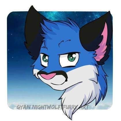 hablo español, Colombiano, divertido, gamers, Furry @colombiafur 🇨🇴