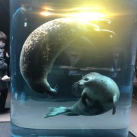 ちゅん@釣り好き (@qqqqsoftttt) 's Twitter Profile