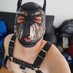 Cachorrito Argos (@cachorro800703) Twitter profile photo Cachorrito Argos (@cachorro800703) Twitter profile photo