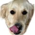Bob (@bobbobto) Twitter profile photo Bob (@bobbobto) Twitter profile photo